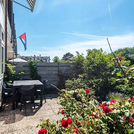 The Shell 42 * Zandvoort